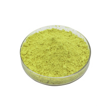 Natural Sophora japonica extract Sophora japonica powder 95% Hplc